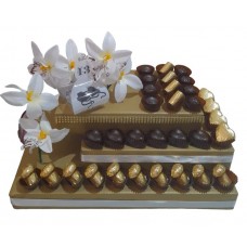 Golden Orchids Golden Orchids